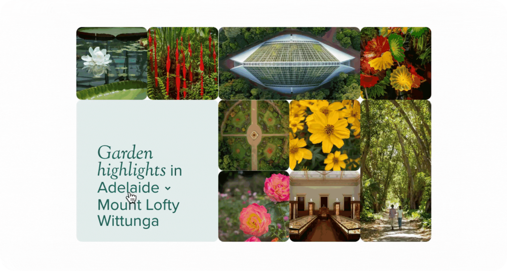 Botanic Gardens Portfolio Highlight 2