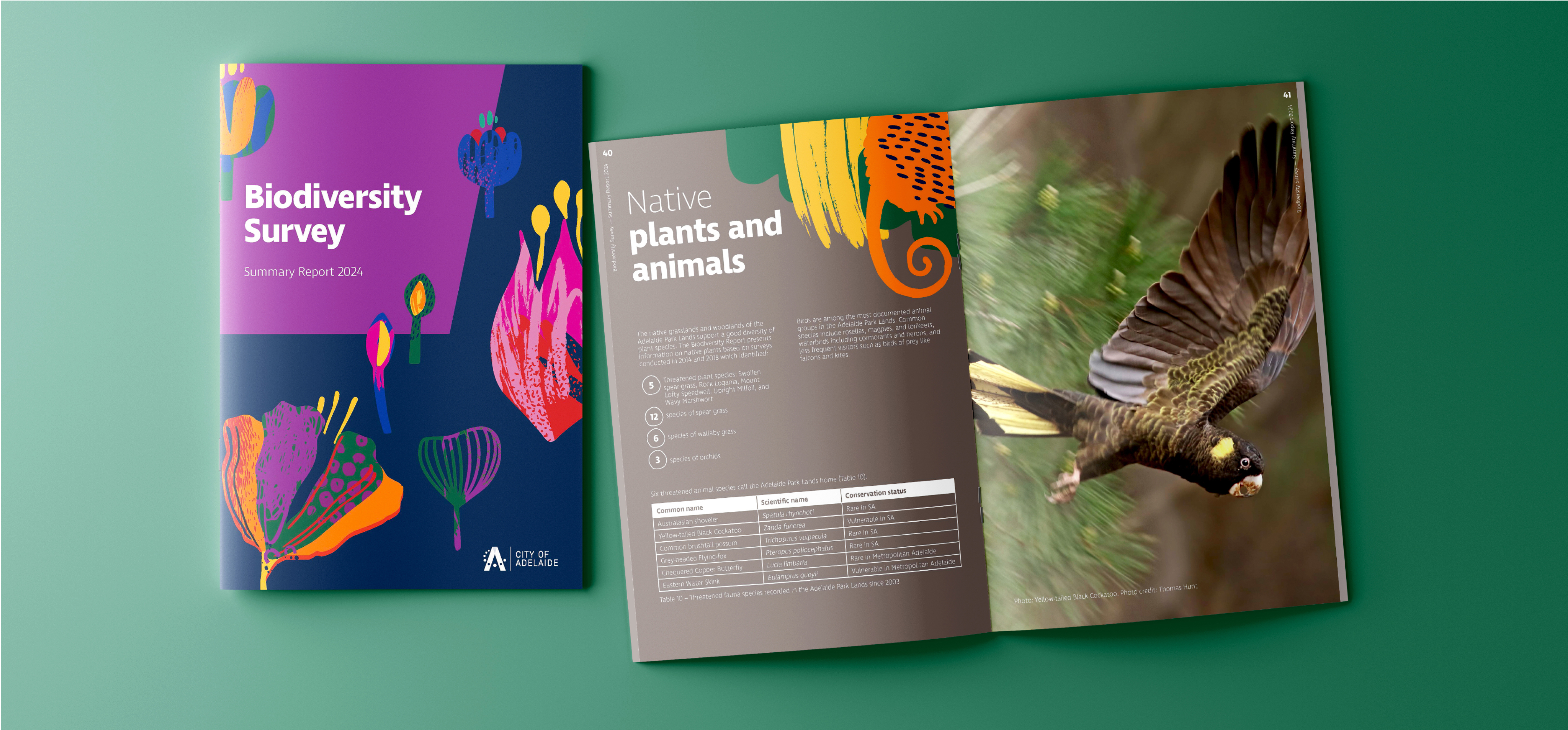 CoA Biodiversity Portfolio centre feature desktop