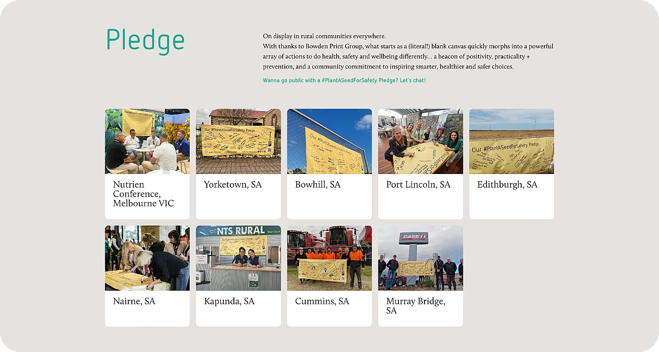 Plant A Seed Portfolio Highlight 3