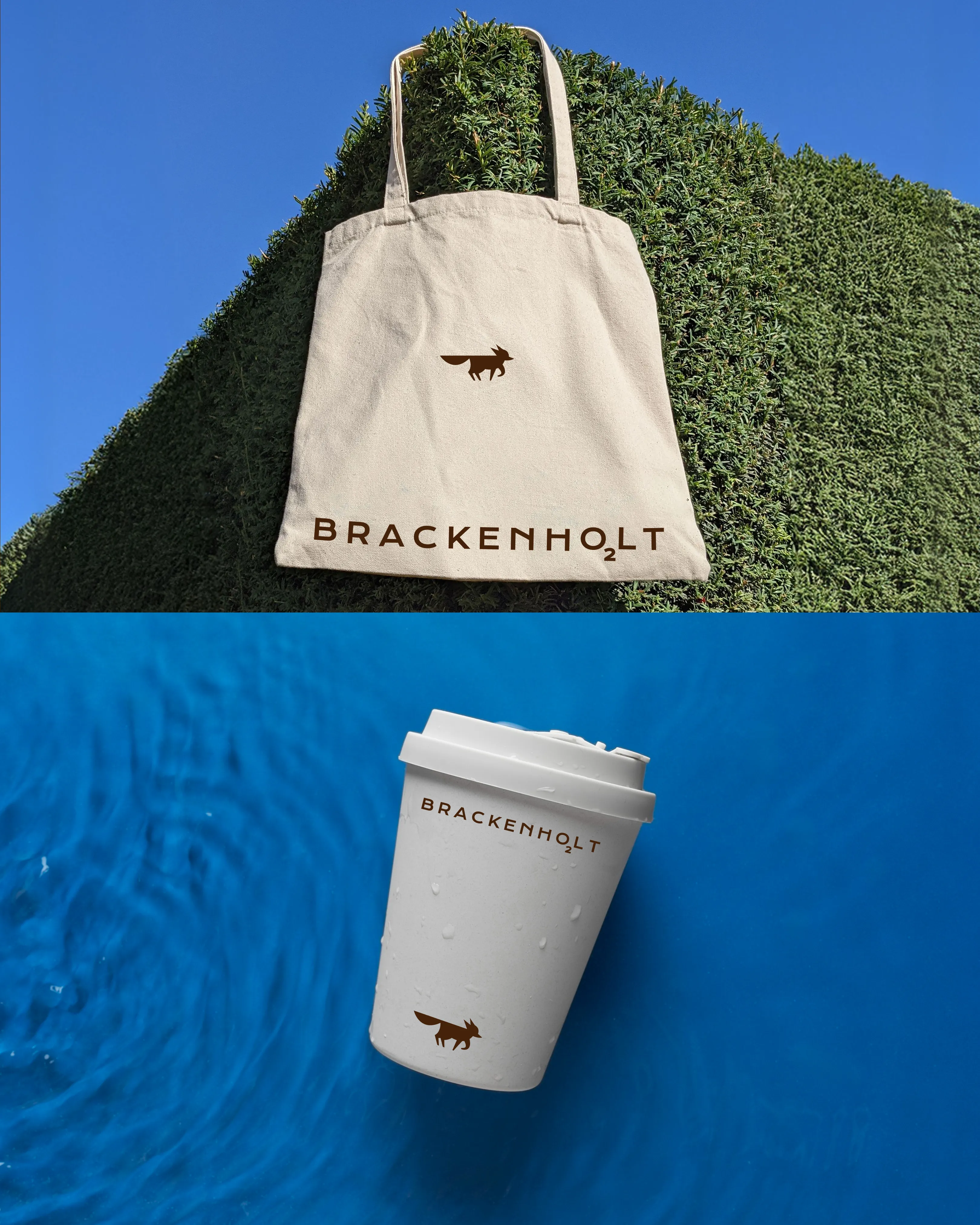 Brackenholt3